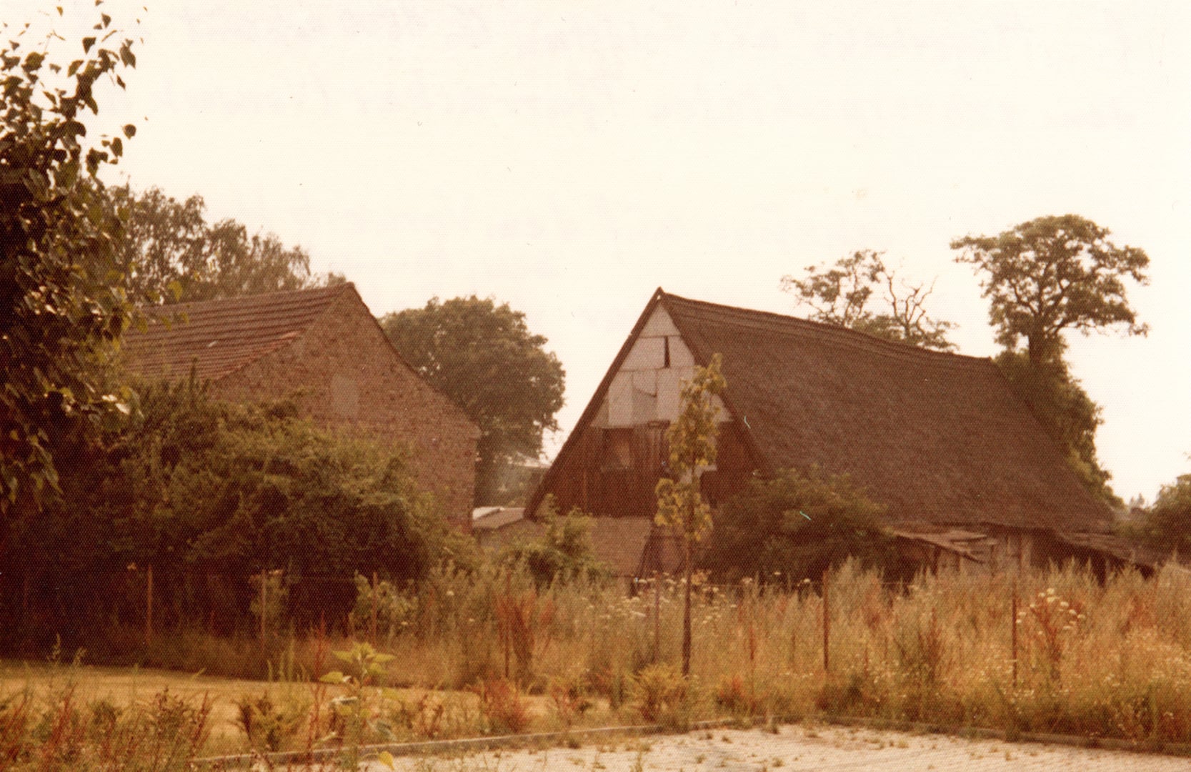 Archiv akhm