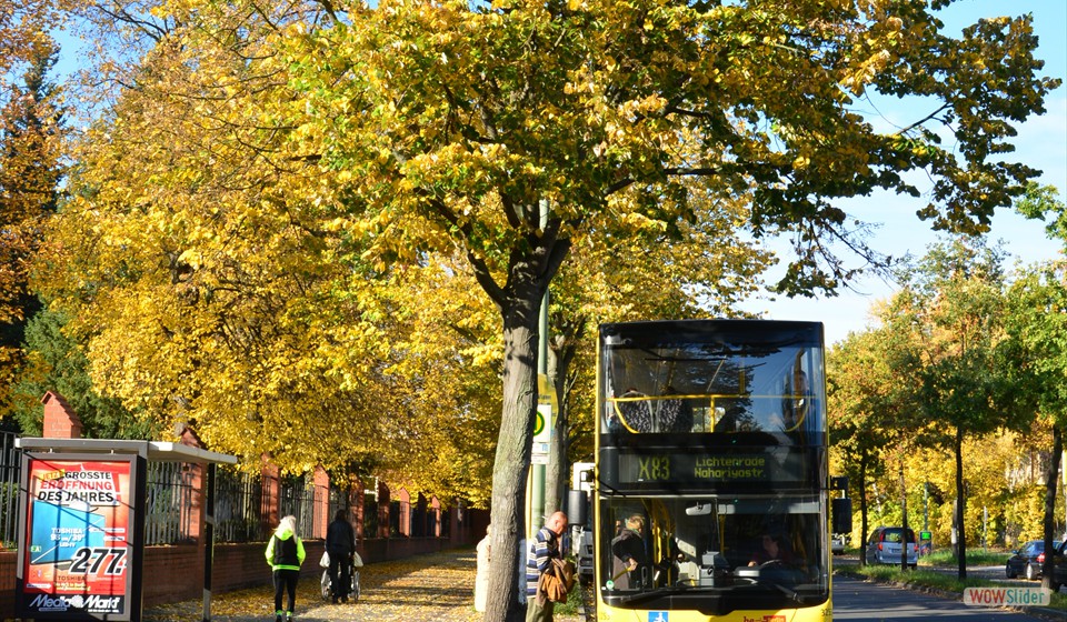 2013-10-13_002 Malteserstraße
