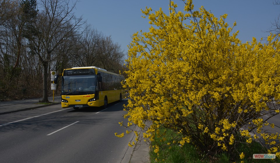 2018-04-10_009 Nahmitzer Damm